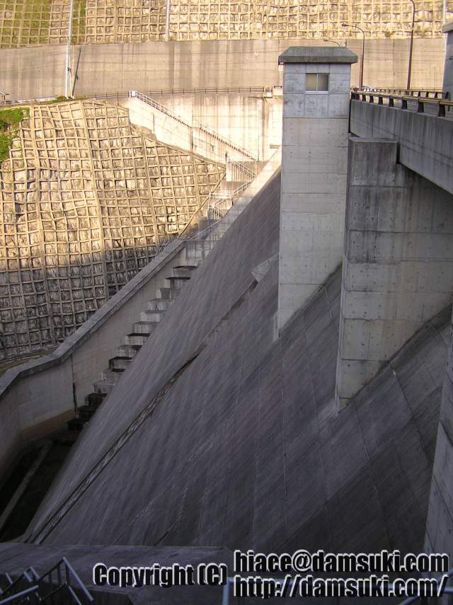ʿ17ǯ1113  1452ʬ